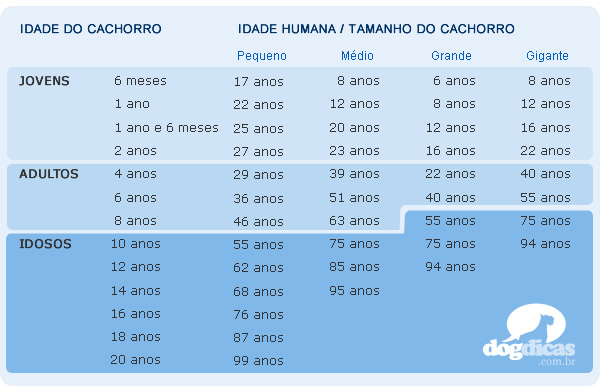 Tabela de equivalência entre cães e humanos