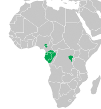 Mapa de distribuição do chimpanzé