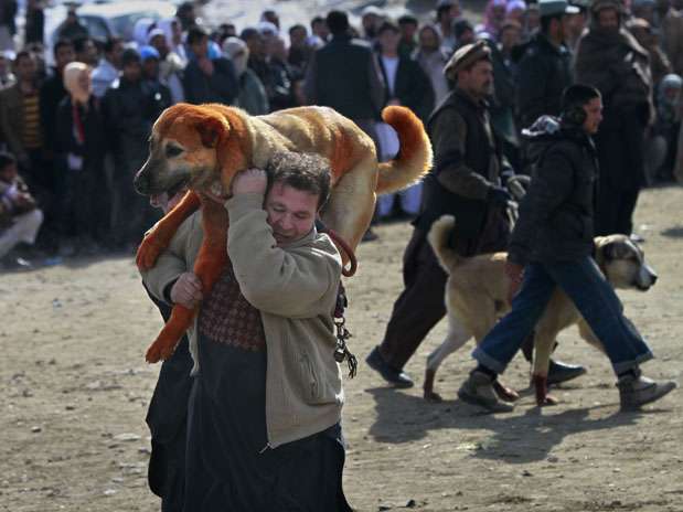 Dono leva seu cachorro embora depois de perder a luta; as brigas são realizadas às sextas-feiras  Foto: AP