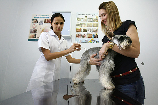 Marcia Pereira Lopes Sartori, 28, segura sua cadela Mel para aplicação da vacina antirrábica em São Paulo