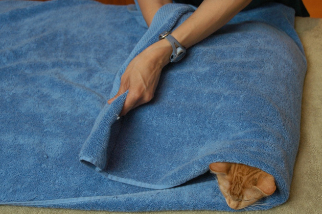 Passo 3 Cat toalha