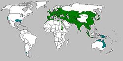 Distribuição geográfica do javali há alguns séculos (verde) e áreas em que a espécie foi introduzida como espécie exótica (azul).